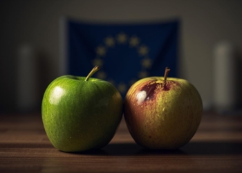 GSP+ Loopholes: Ship Duty-Free to Europe in 2025 | 3 Errors That Kill 0% Tariff Claims